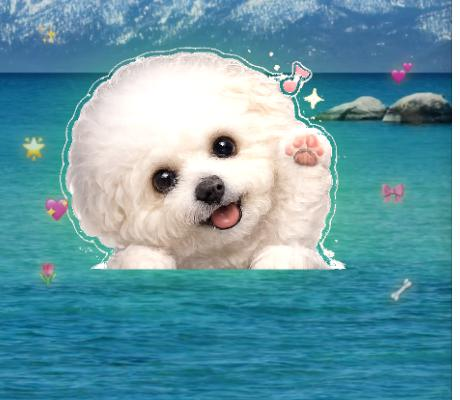 悬浮狗狗桌面截图